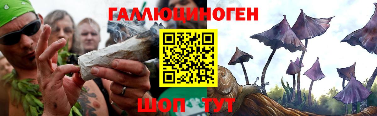 Галлюциногенные грибы мицелий Котлас